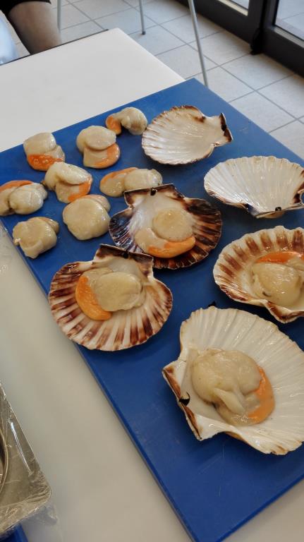 Технология изготовления кулинарных блюд и кондитерских изделий — фото 3