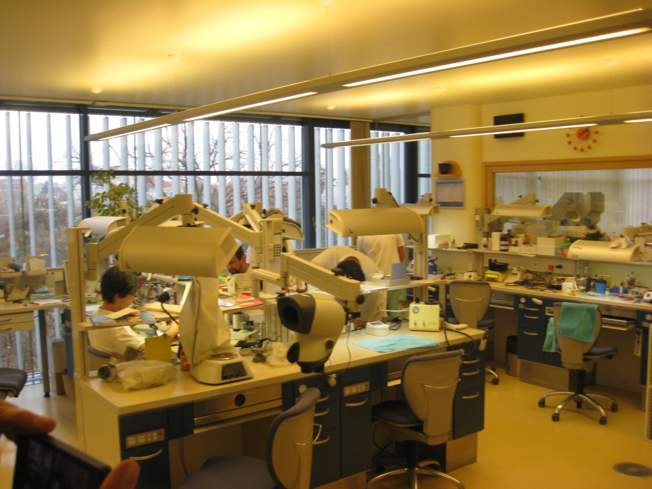 Учебный тур для стоматологов — фото 5